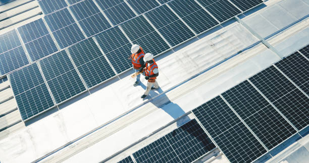Best Roof Moss and Algae Removal  in Clifton, IL