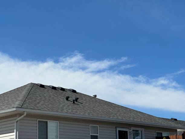  Clifton, IL Roofing Service Pros